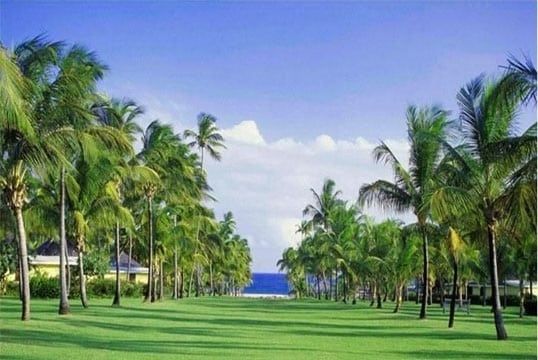 Nisbet Plantation Beach Club