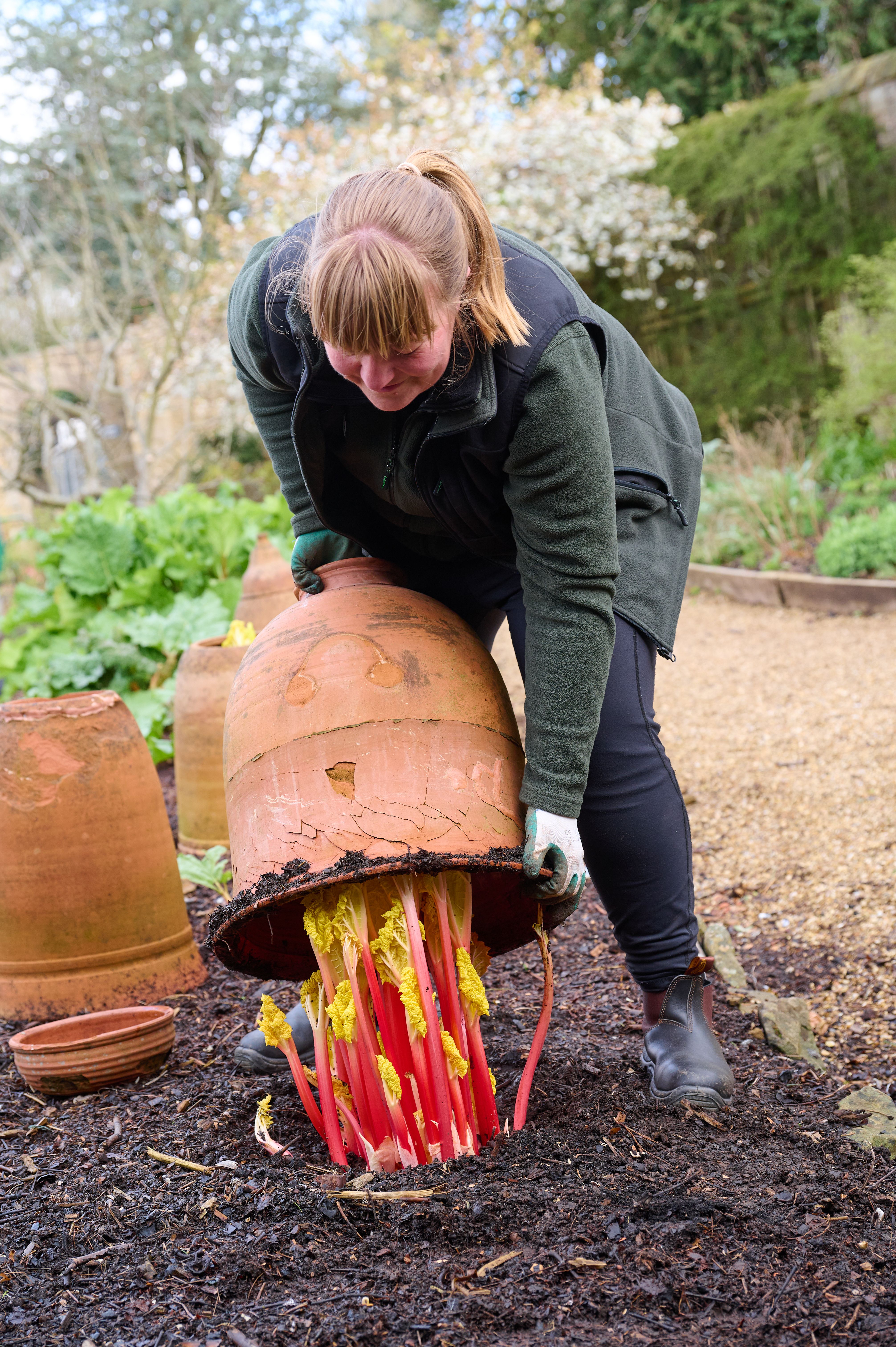 Fischer's at Baslow Hall