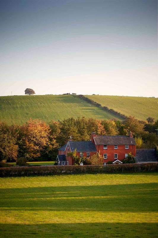 The Felin Fach Griffin