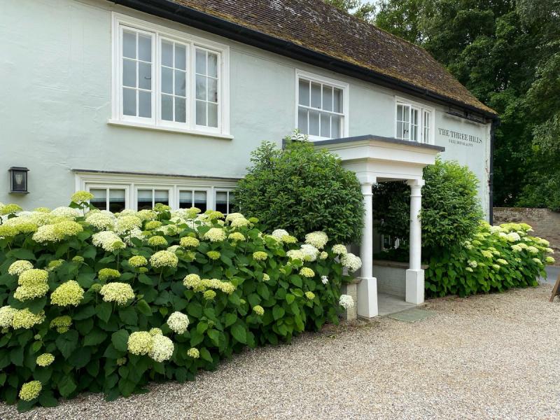 '25% off all Rooms' Special Offer
