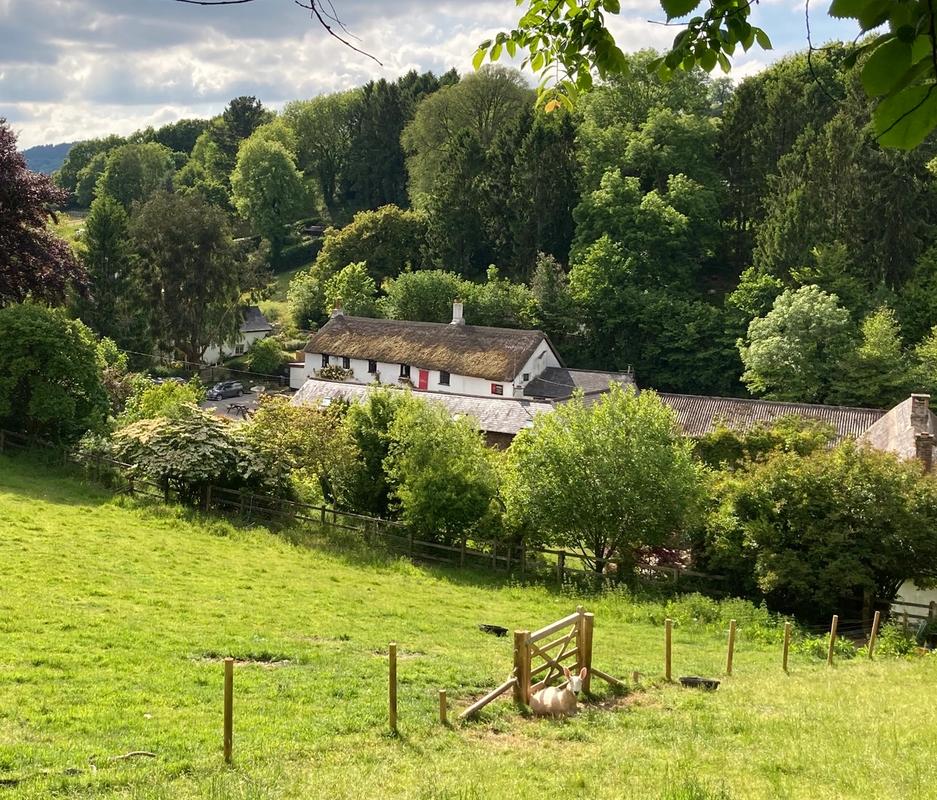 The Cridford Inn