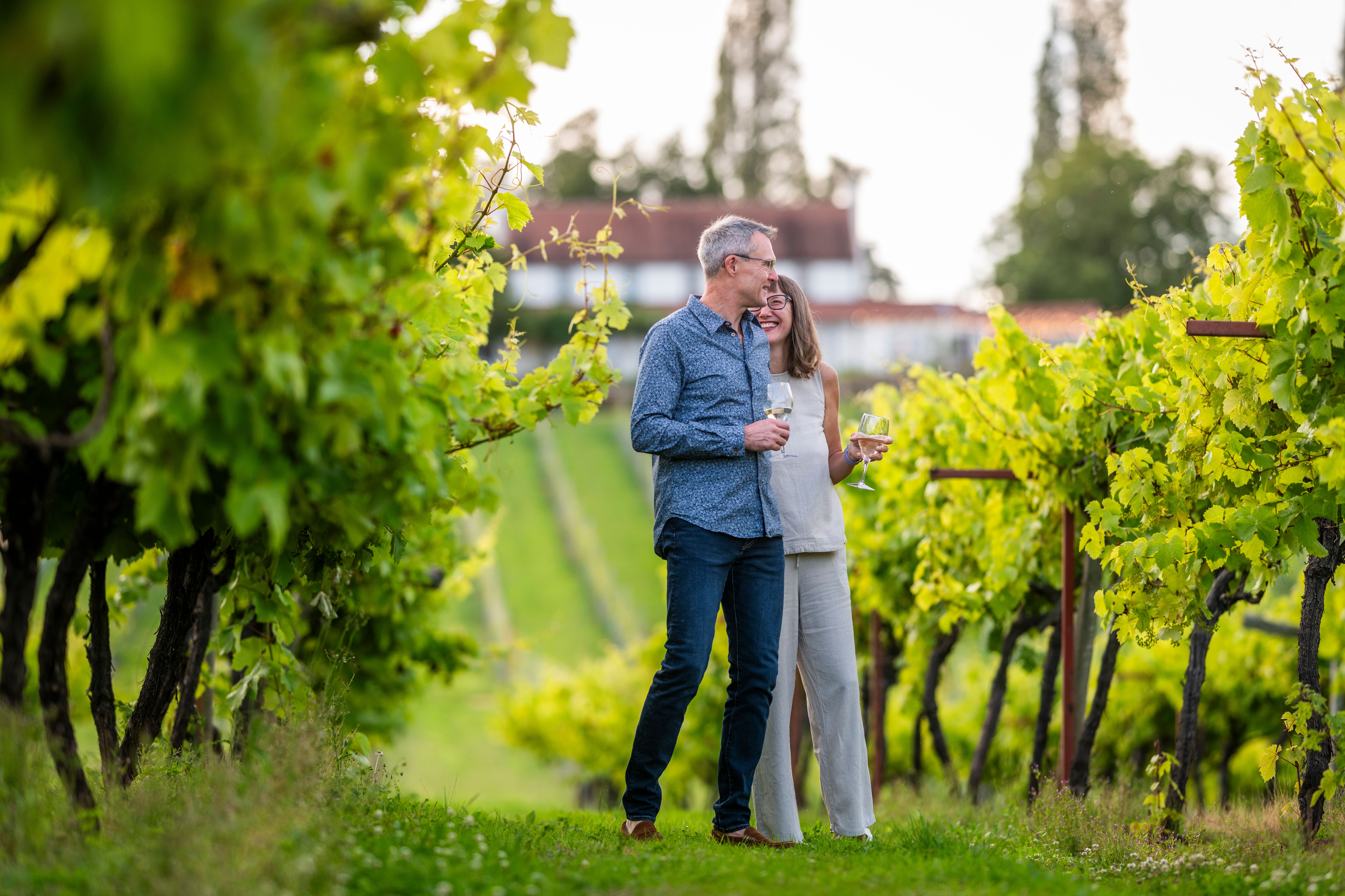 Three Choirs Vineyards