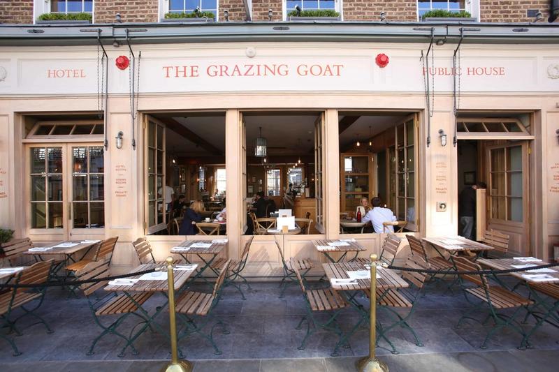 The Grazing Goat