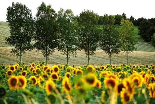 Auberge du Poids Public