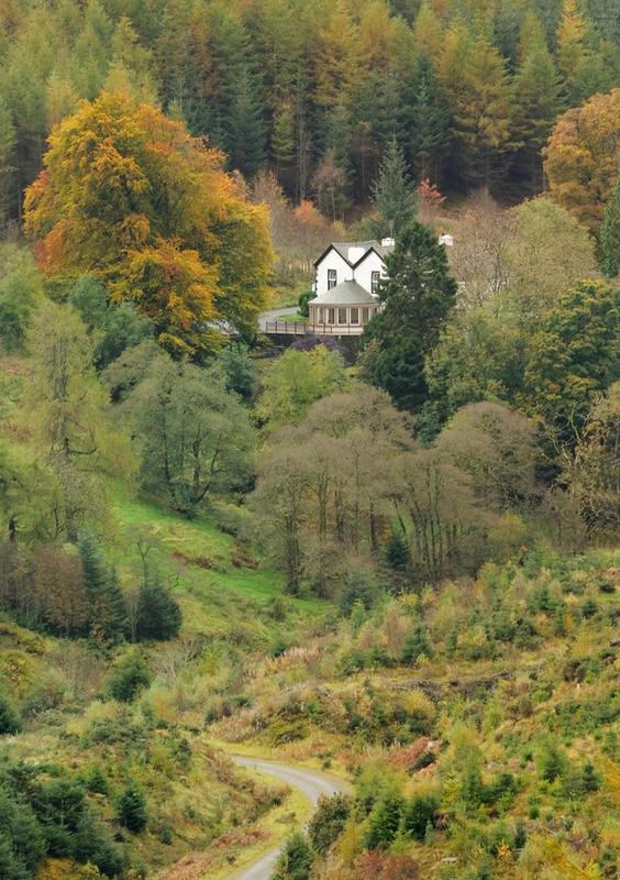 The Cottage in the Wood
