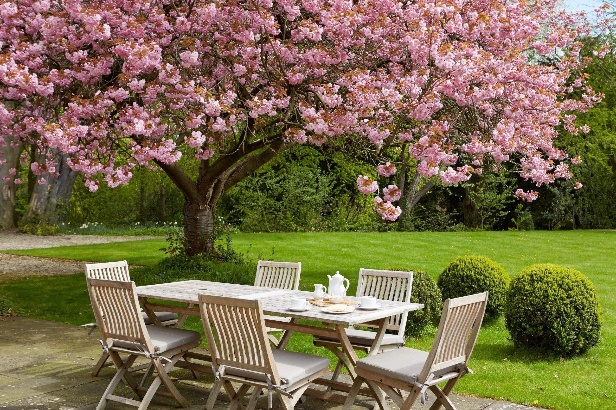 The Peacock at Rowsley