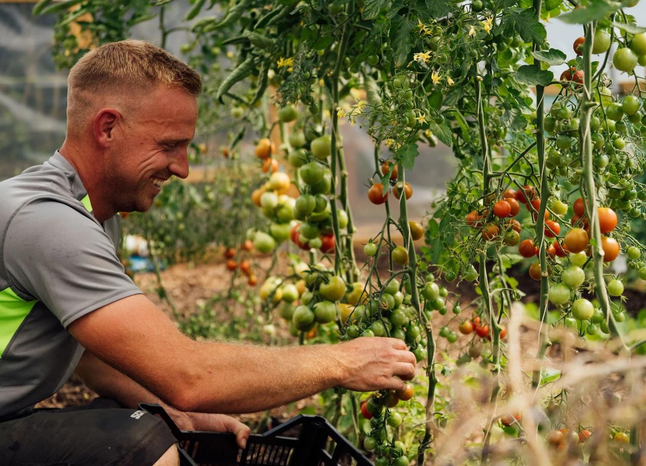 The Farmhouse at Redcoats