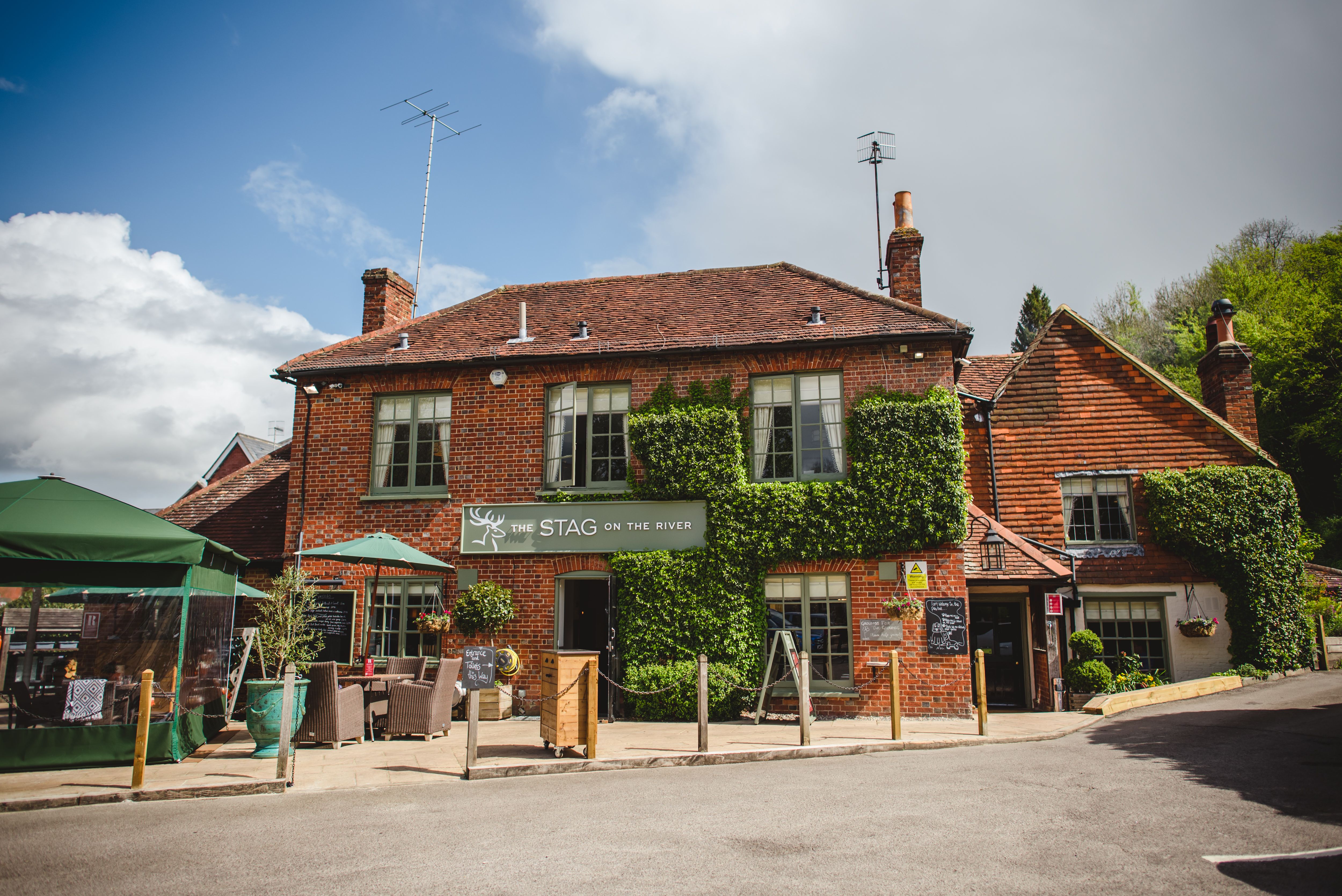 The Stag on the River