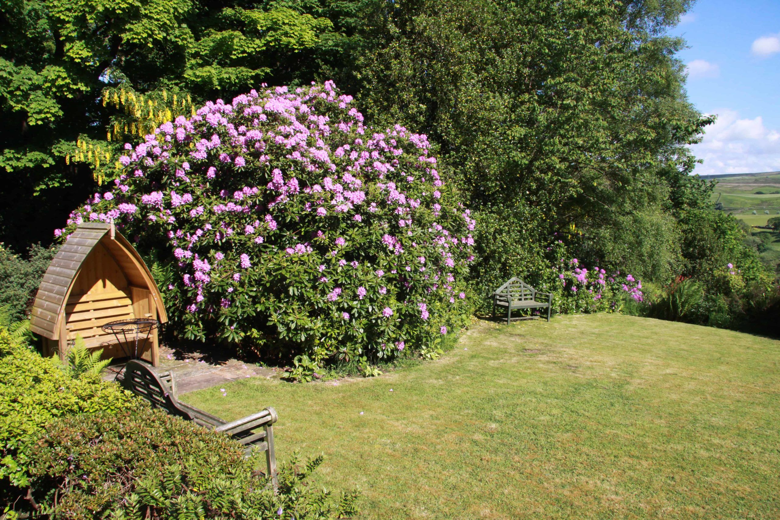 The Hill on the Wall