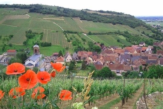 Auberge du Cheval Blanc