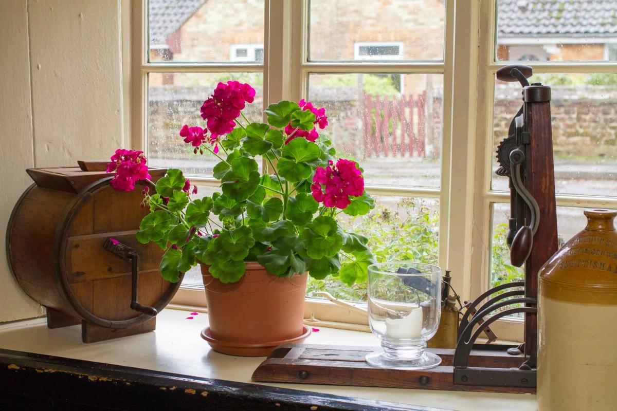 The Rose & Crown
