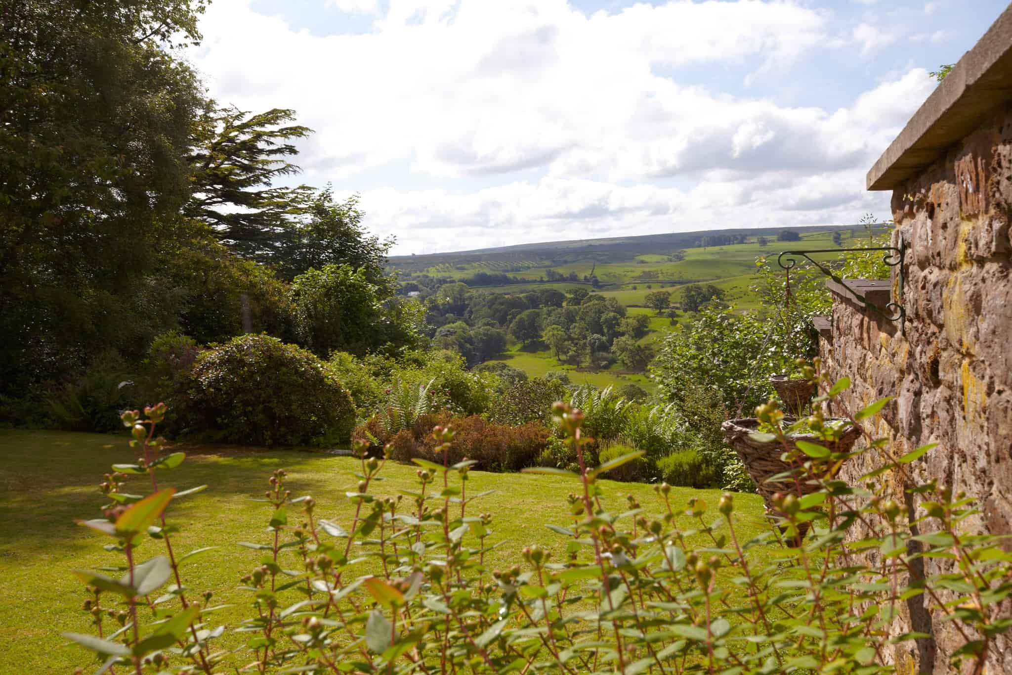 The Hill on the Wall