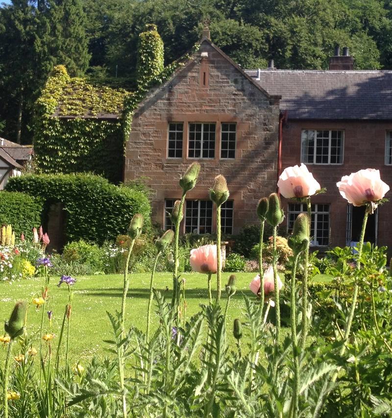 D,B&B Special Offer