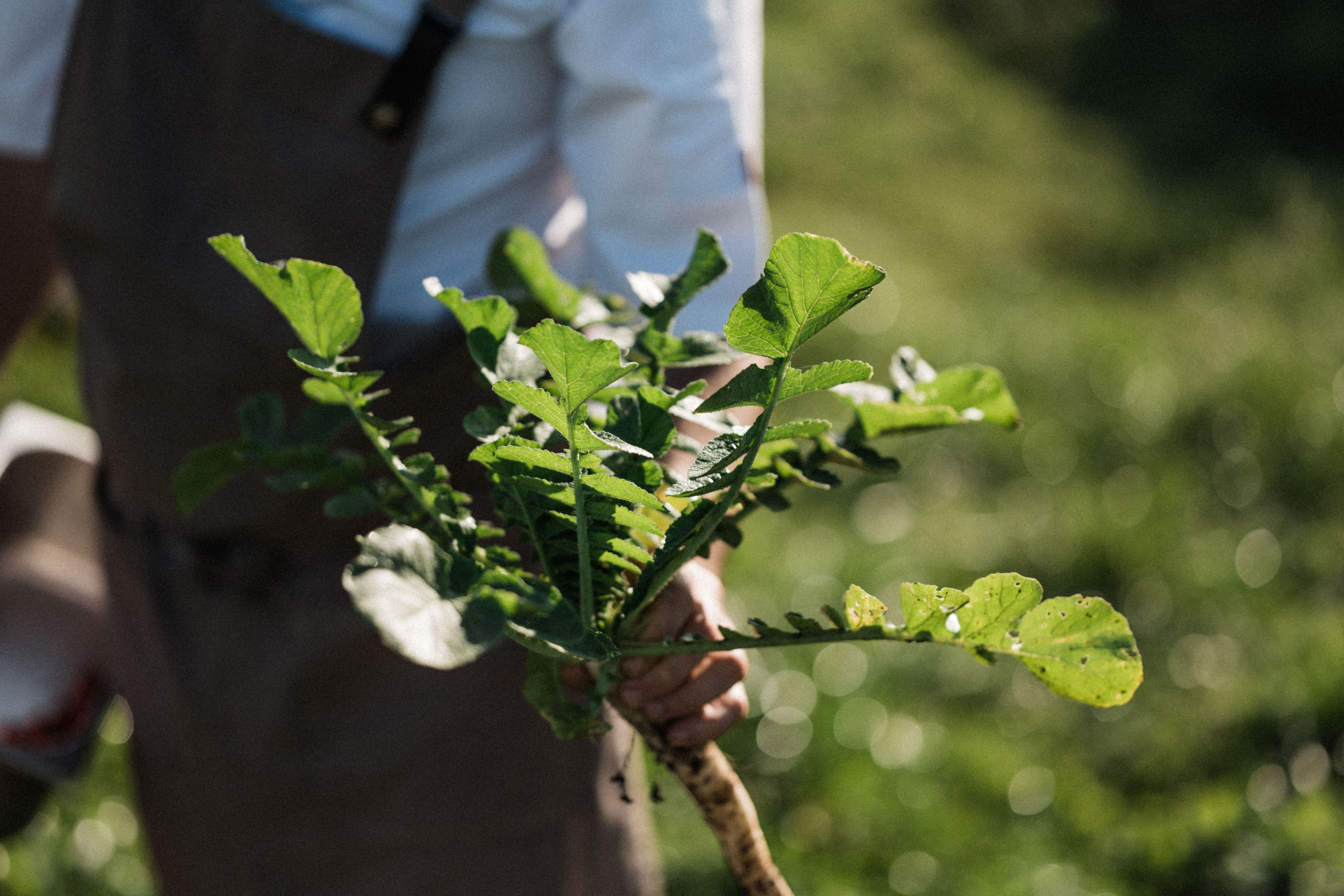 The Collective at Woolsery