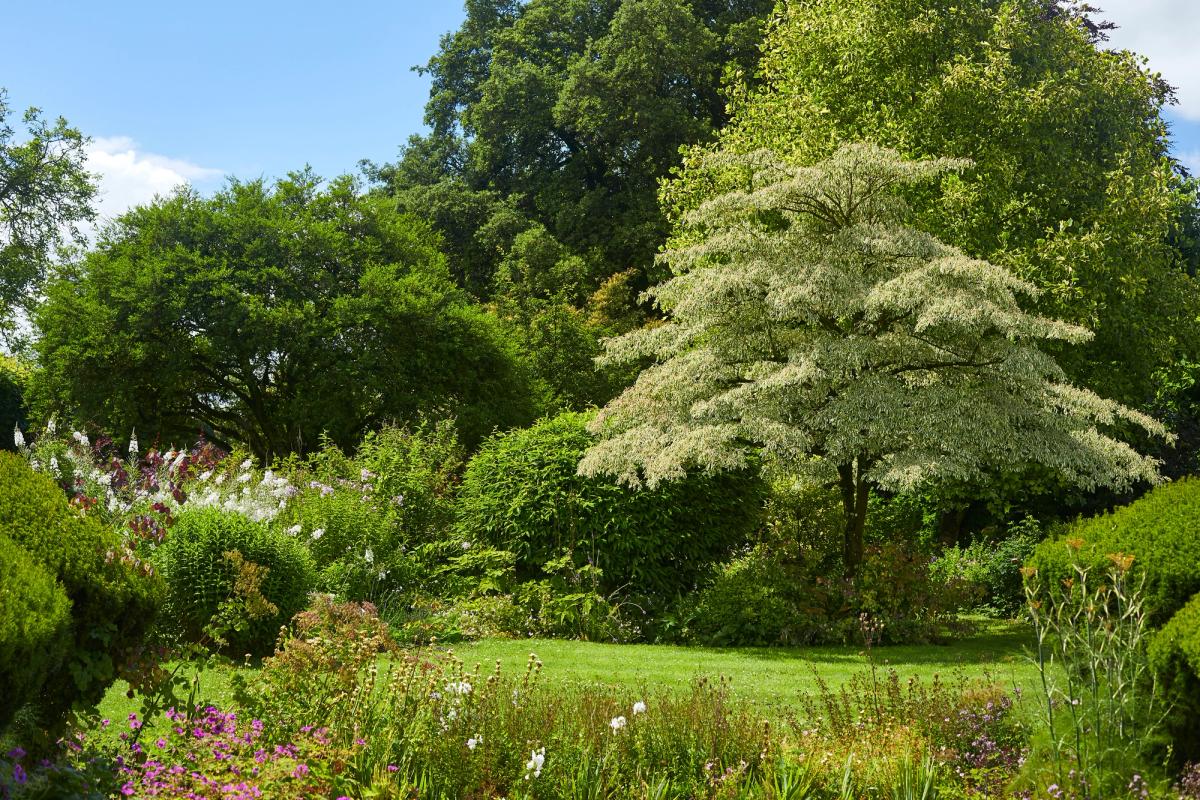 The Pig in the Cotswolds