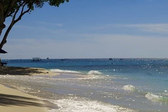 Treasure Beach Hotel