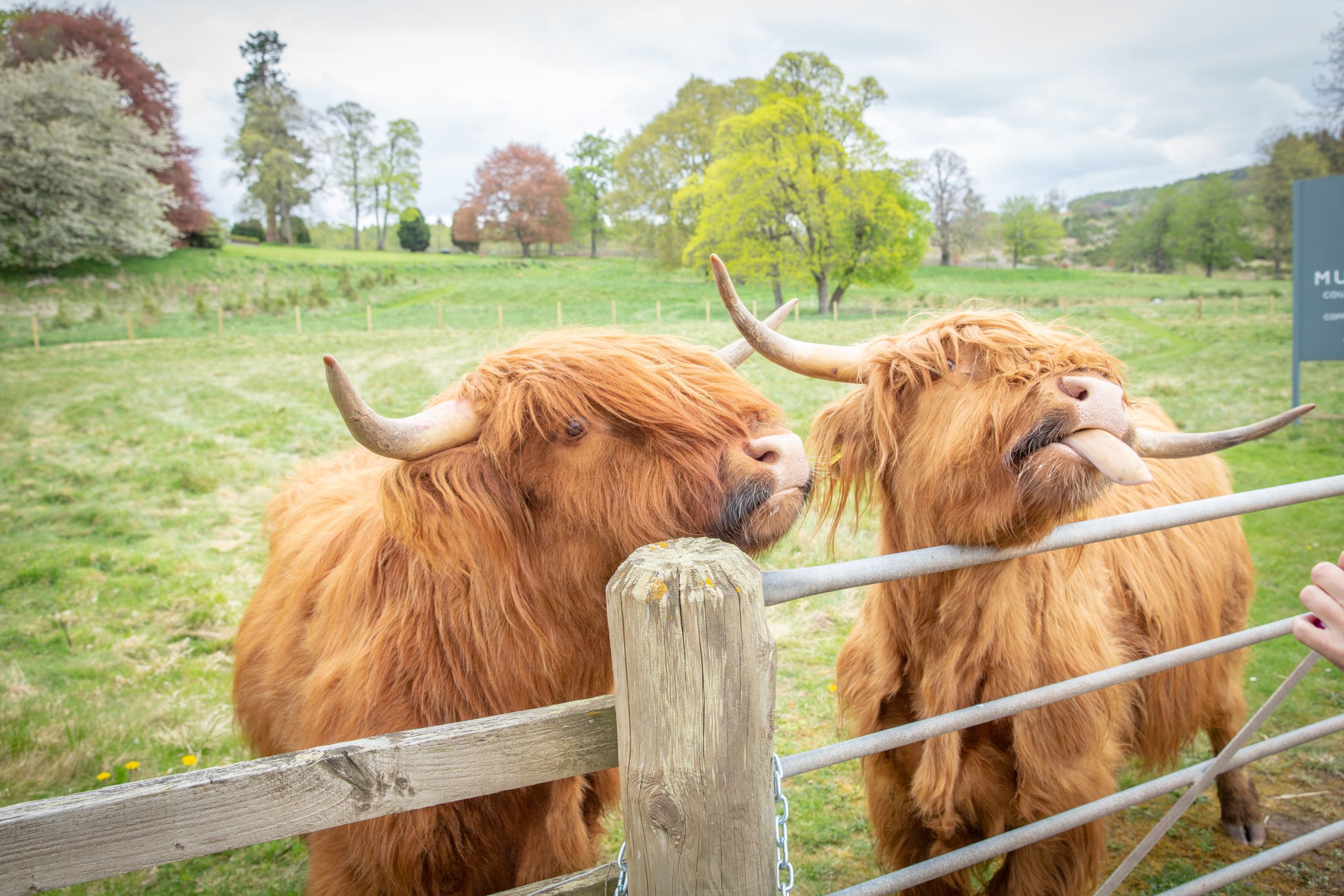 Muckrach Country House Hotel