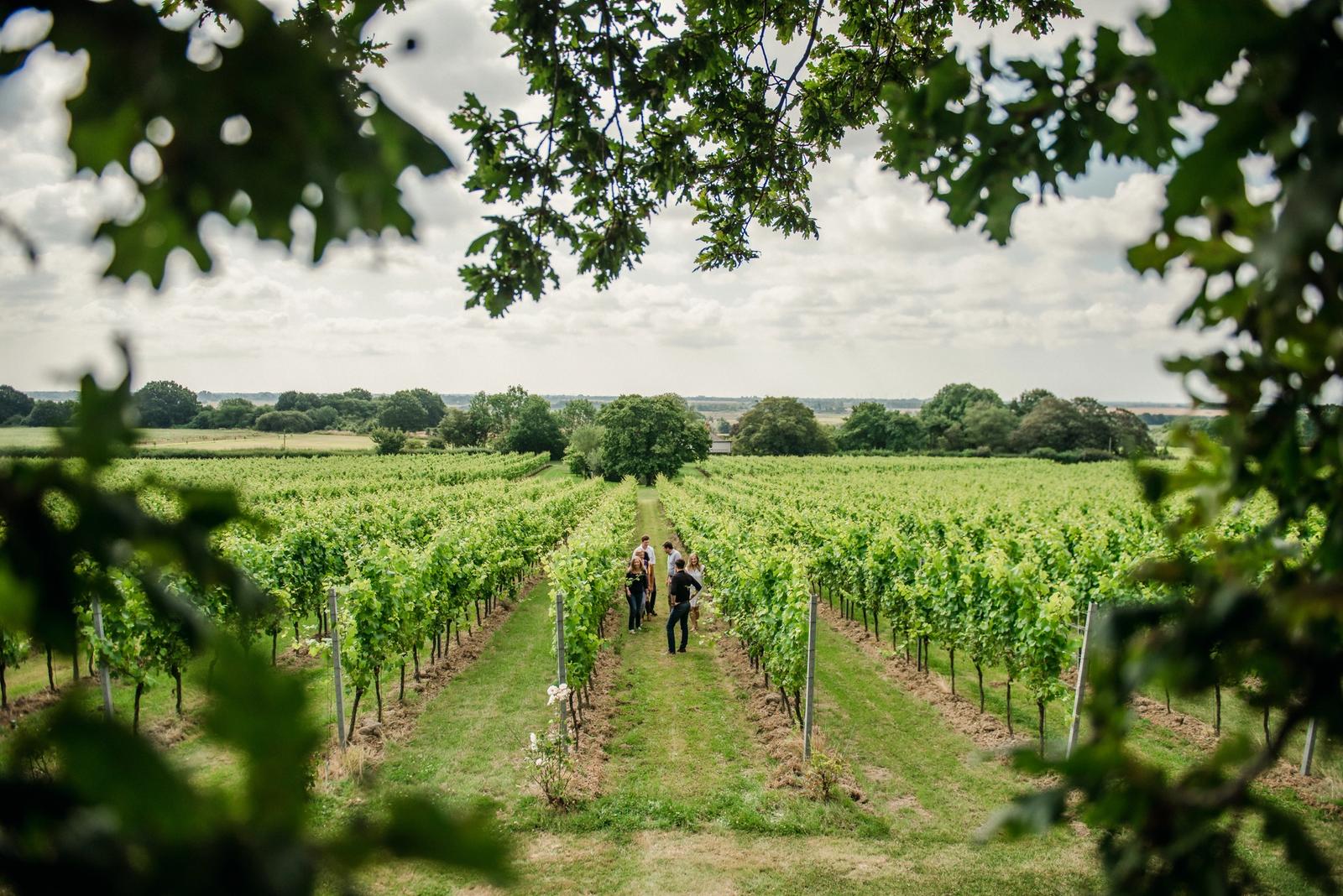 Hotels near the Gusbourne Estate