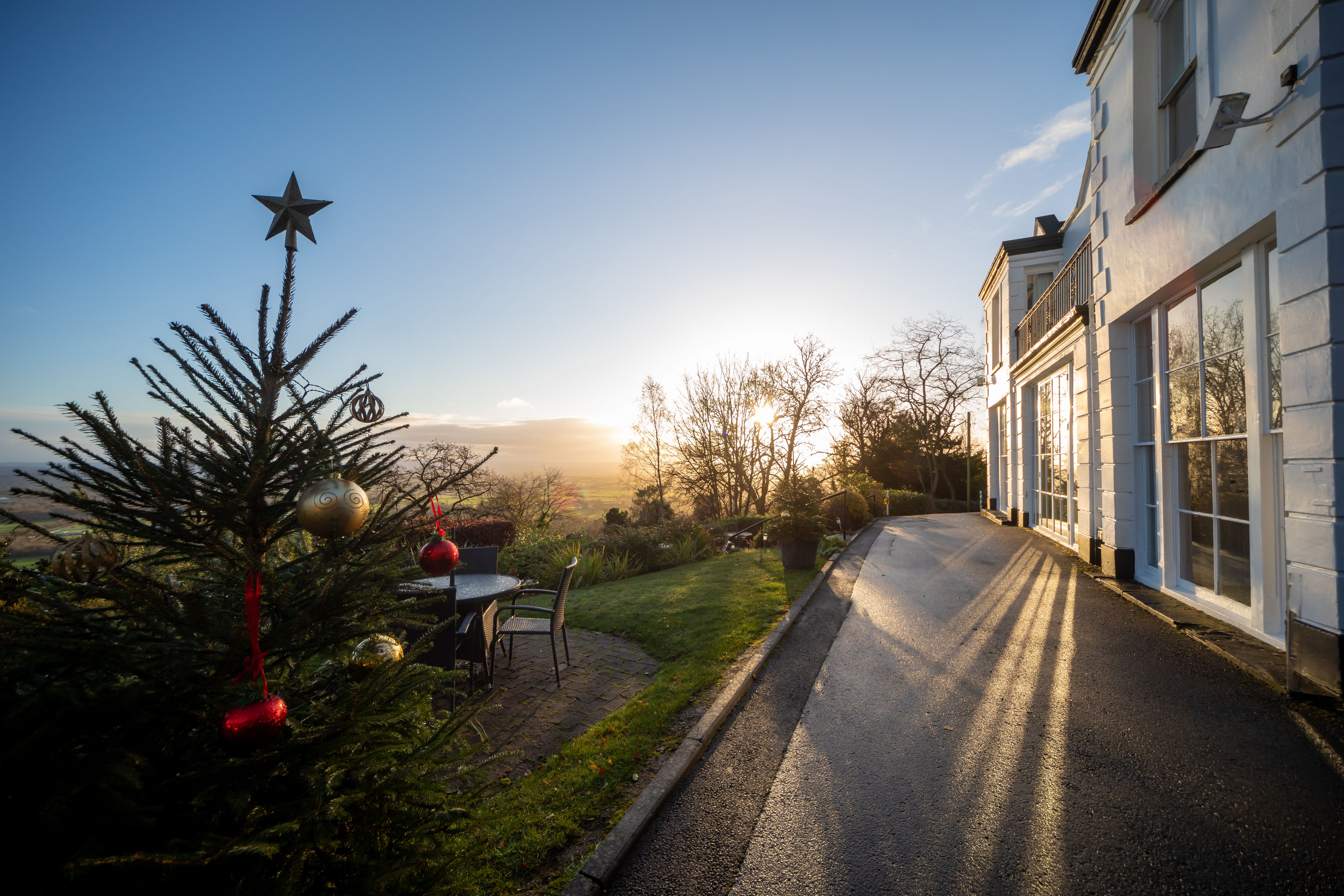 The Cottage in the Wood