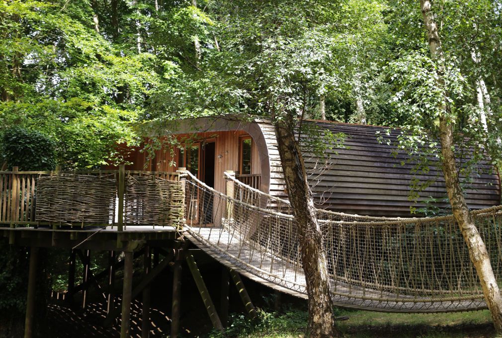 The Fish Hotel