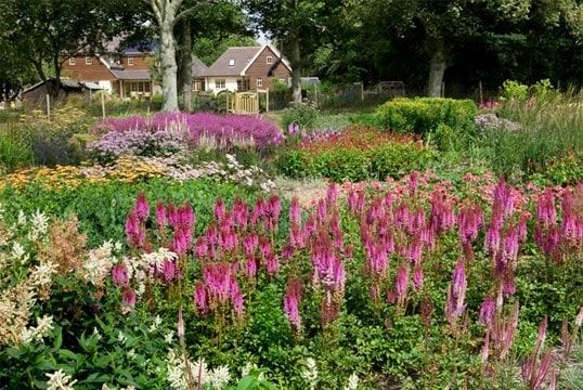 Sussex Prairies at Morlands Farm