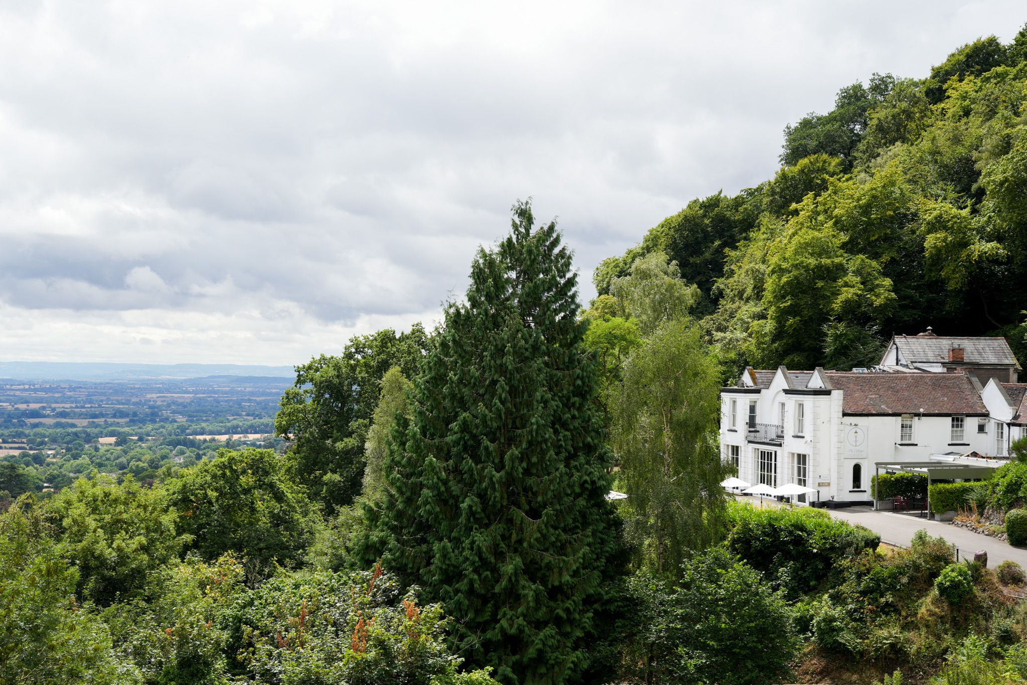 The Cottage in the Wood