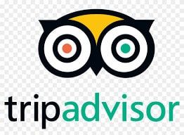 Cheating trips up TripAdvisor