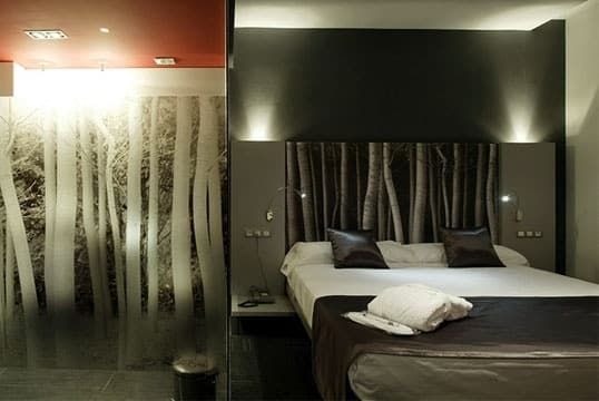 Petit Palace Art Gallery Hotel