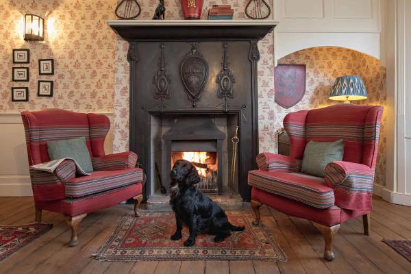 Best dog friendly hotels in Yorkshire