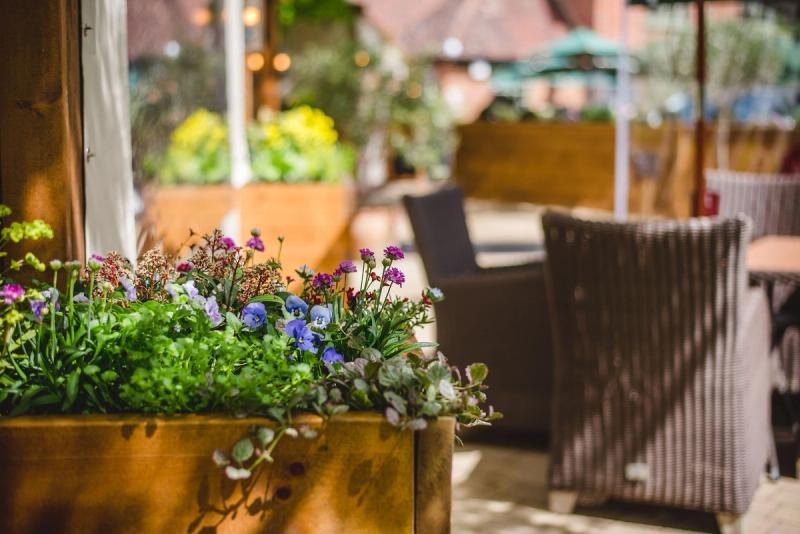 The Stag on the River