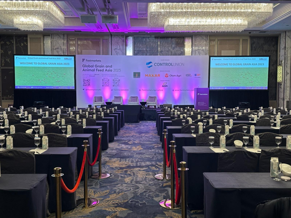 Main backdrop