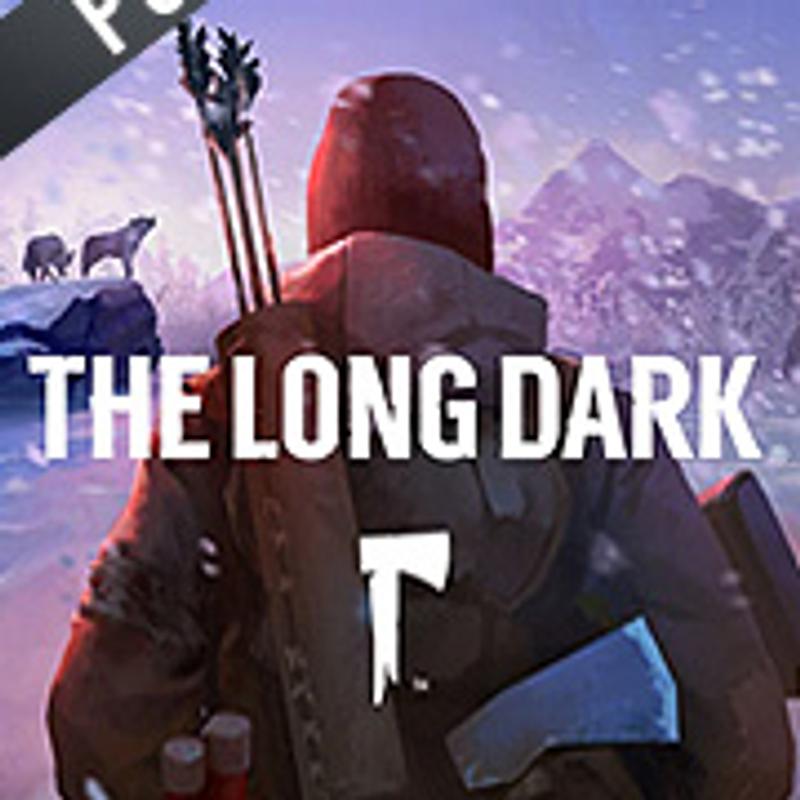 The Long Dark-first-image