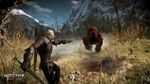 The Witcher 3 Wild Hunt-gallery-image-9