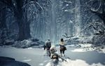 Monster Hunter World Iceborne-gallery-image-6