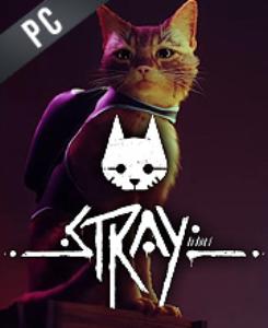 Stray-first-image