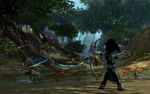 Guild Wars 2 Gems-gallery-image-3