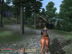 Elder Scrolls 4 Oblivion-gallery-image-3