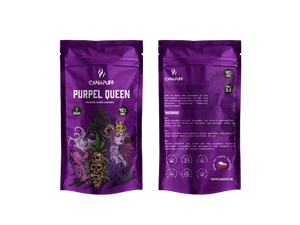 PURPLE-QUEEN-40percent-HHC-CanaPuff-main-0.png