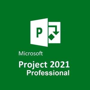 Microsoft Project Professional 2021-first-image