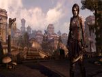 The Elder Scrolls Online Morrowind-gallery-image-3