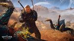 The Witcher 3 Wild Hunt-gallery-image-10