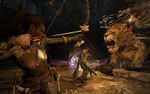 Dragons Dogma Dark Arisen-gallery-image-3