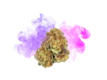 HHC-Purple-Queen-40percent-main-1.png