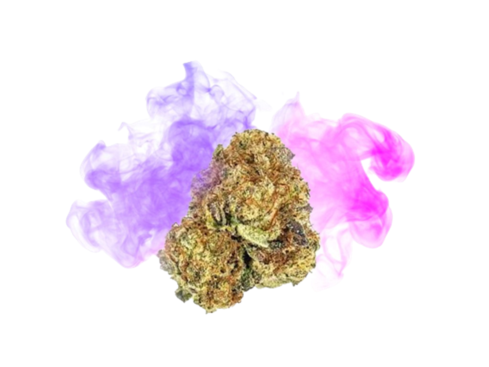 HHC-Purple-Queen-40percent-main-1.png