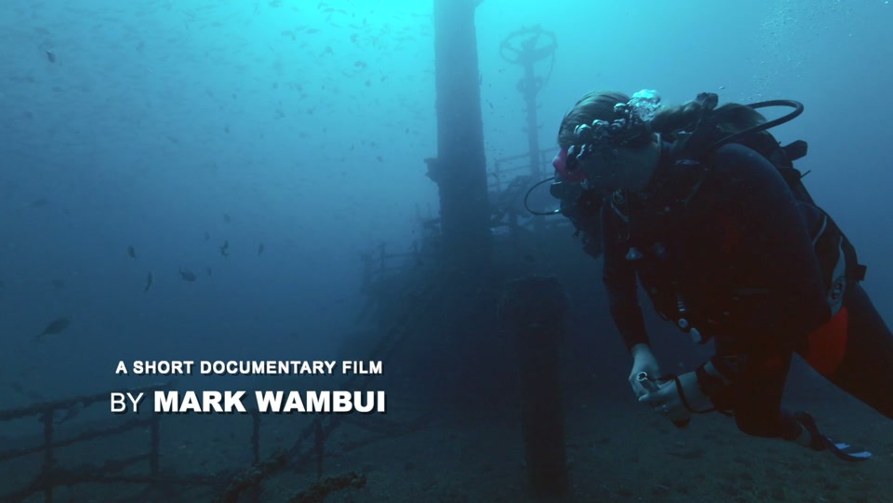 Divers exploring the marine restoration site along Kenya's coast.