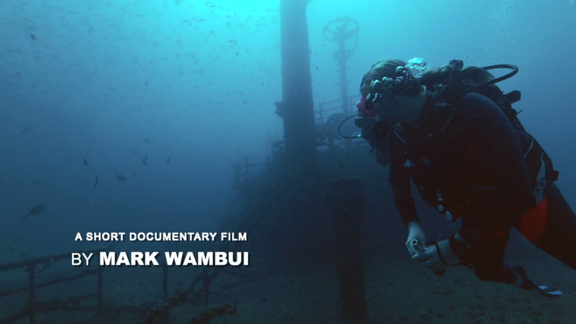 Divers exploring the marine restoration site along Kenya's coast.