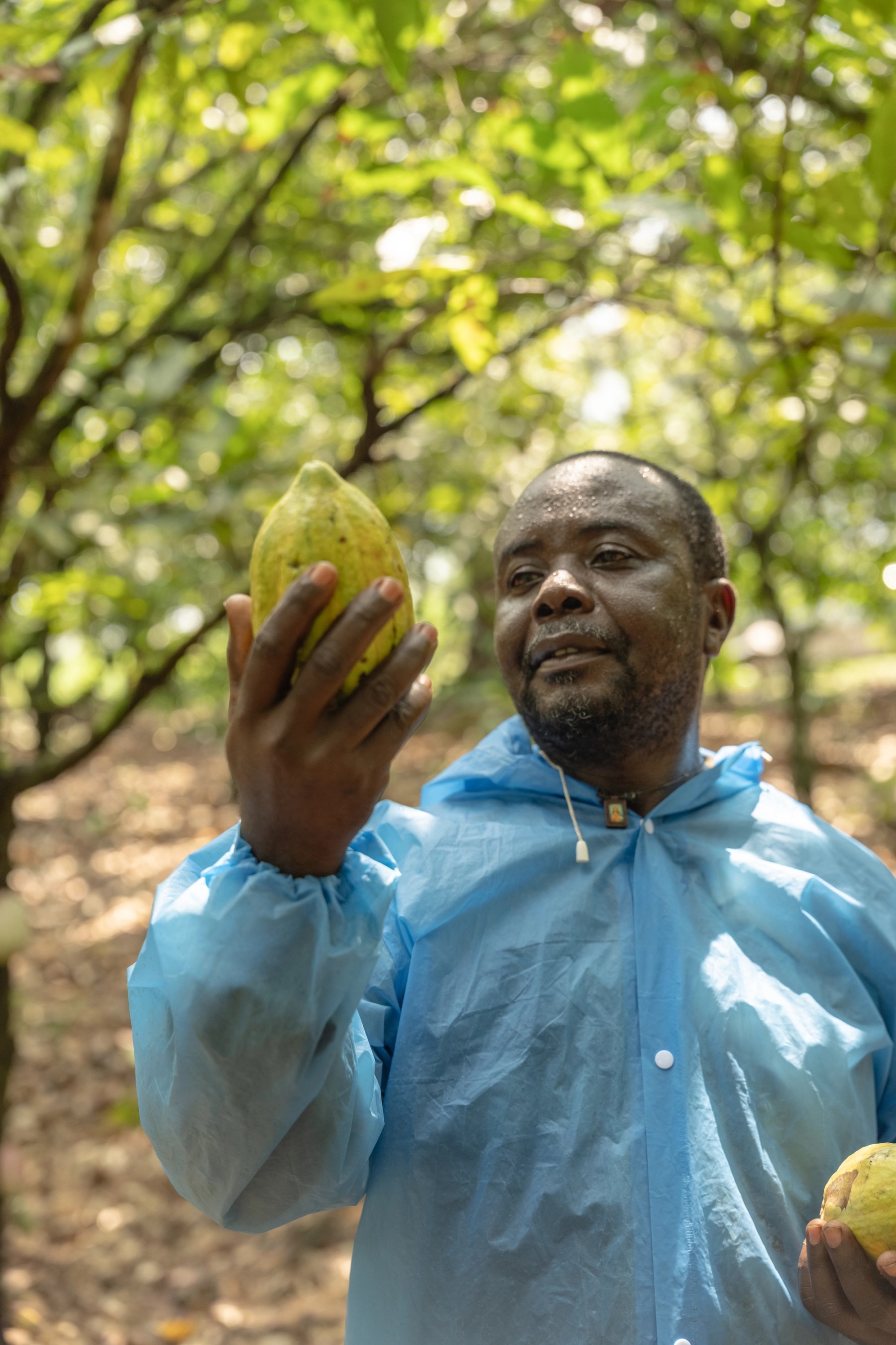 Cameroonian explaining the importance of Cacao to their community