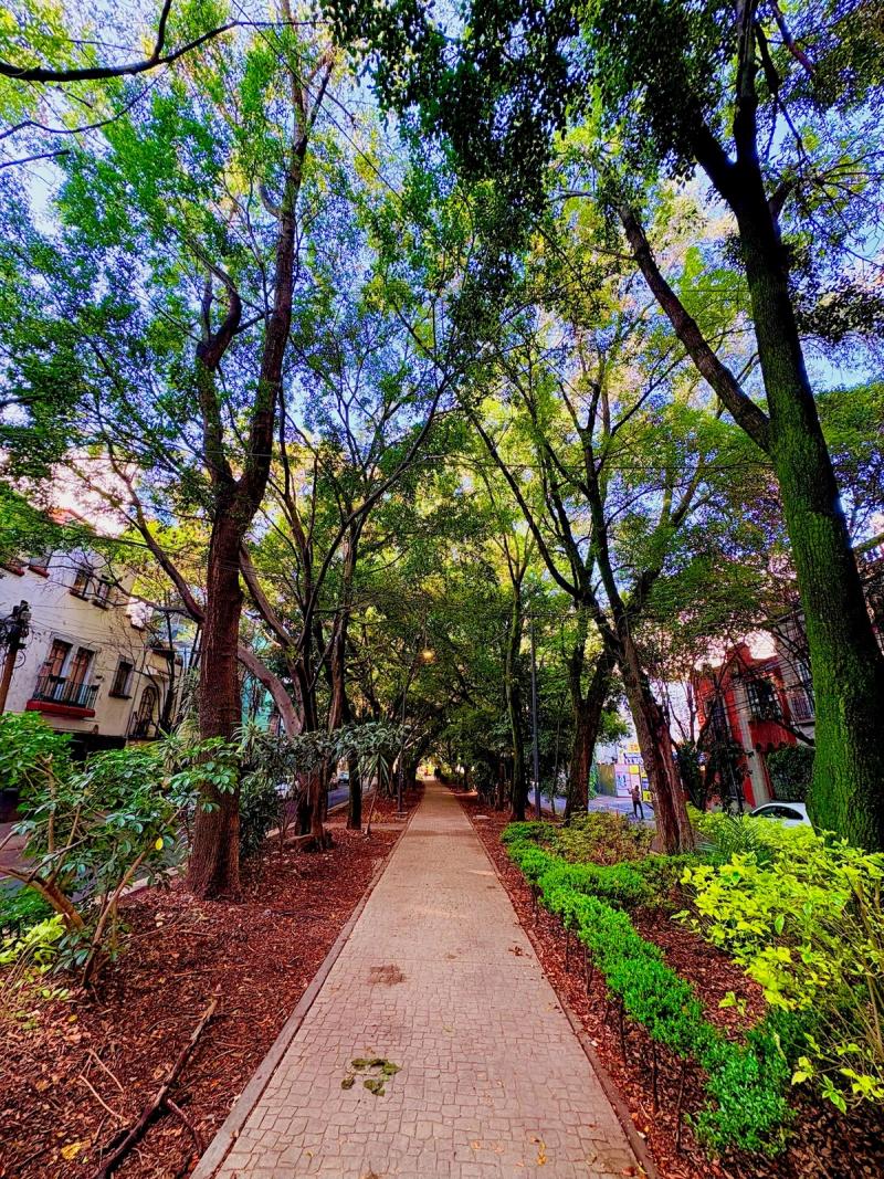 The hidden gems of Roma and Condesa Neighborhoods Walking tour