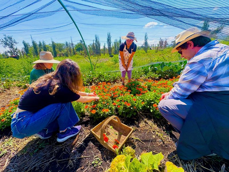 Prehispanic Xochimilco: Sailing, chinampas, axolotls and bird watching