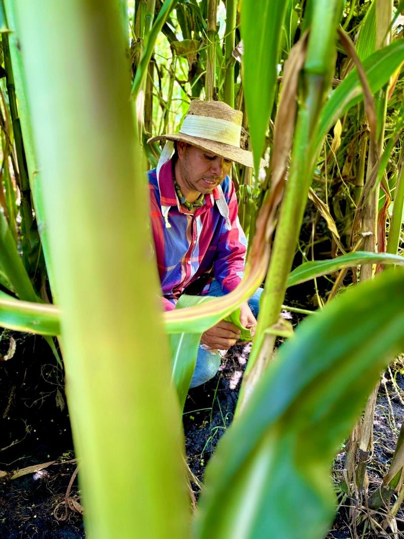 Kayak in Xochimilco: agroecological experience